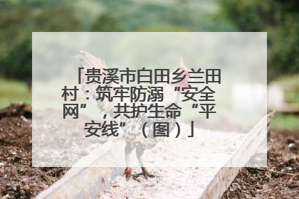 贵溪市白田乡兰田村：筑牢防溺“安全网”，共护生命“平安线”（图）